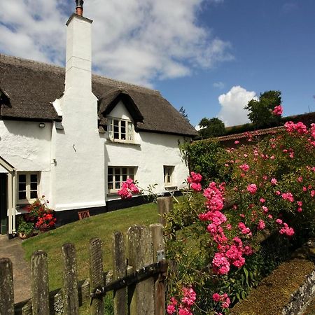 Brook Farmhouse Tedburn Ngoại thất bức ảnh