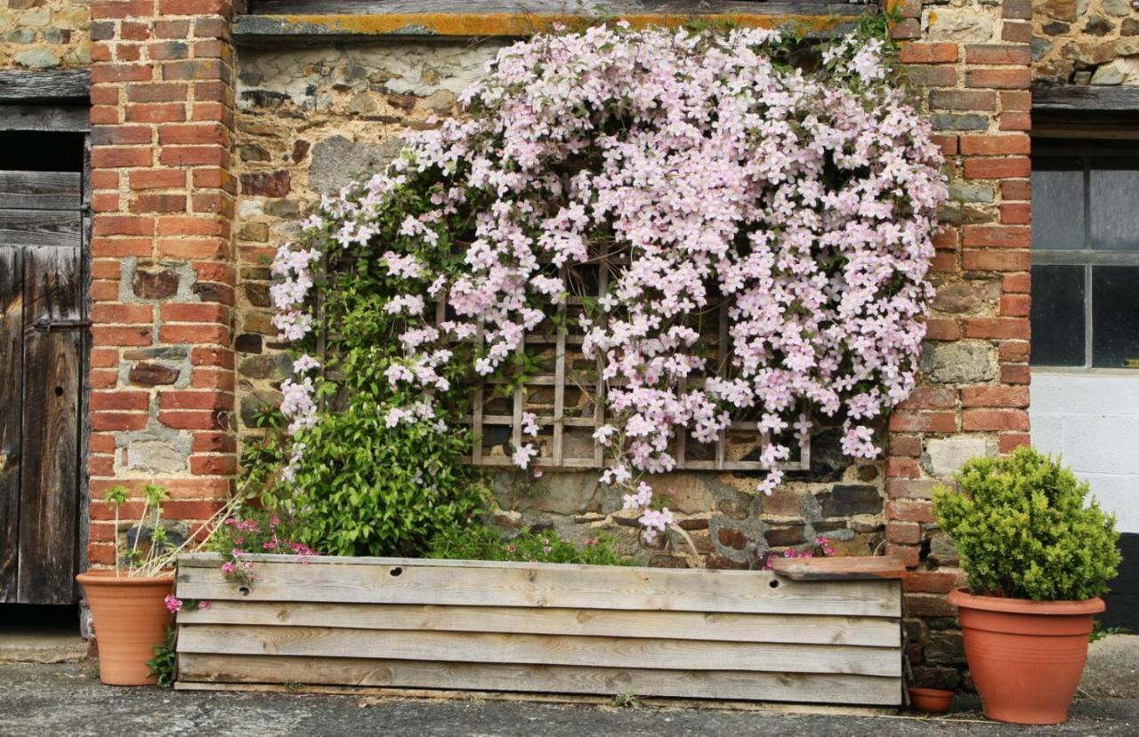 Brook Farmhouse Tedburn Ngoại thất bức ảnh